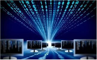 數(shù)據(jù)庫系統(tǒng)由什么組成